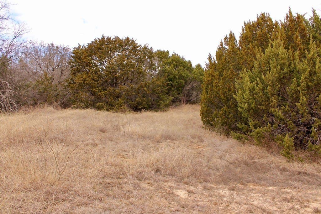 0.07 acres in Hood County - photo 3