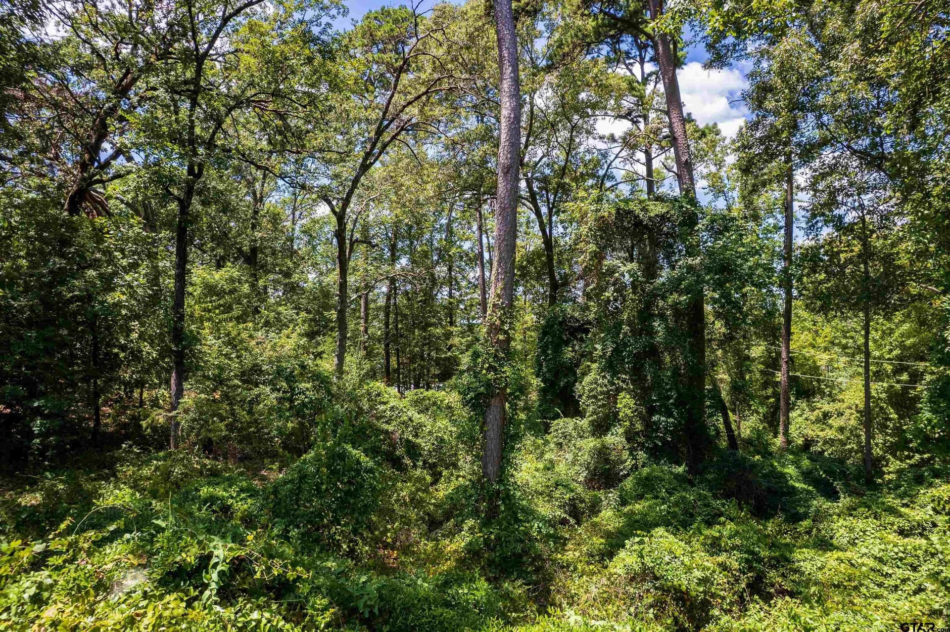 0.58 acres in Franklin County - photo 7