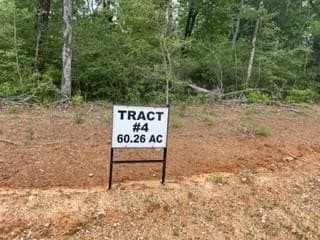 60.26 acres in Freestone County gallery image 3