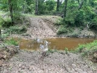 60.26 acres in Freestone County gallery image 2