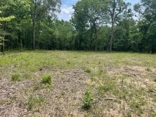 60.26 acres in Freestone County gallery image 4