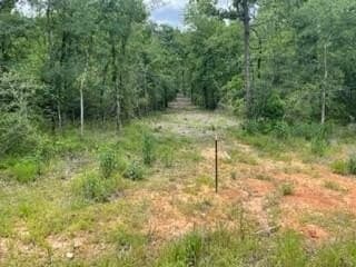 60.26 acres in Freestone County featured view