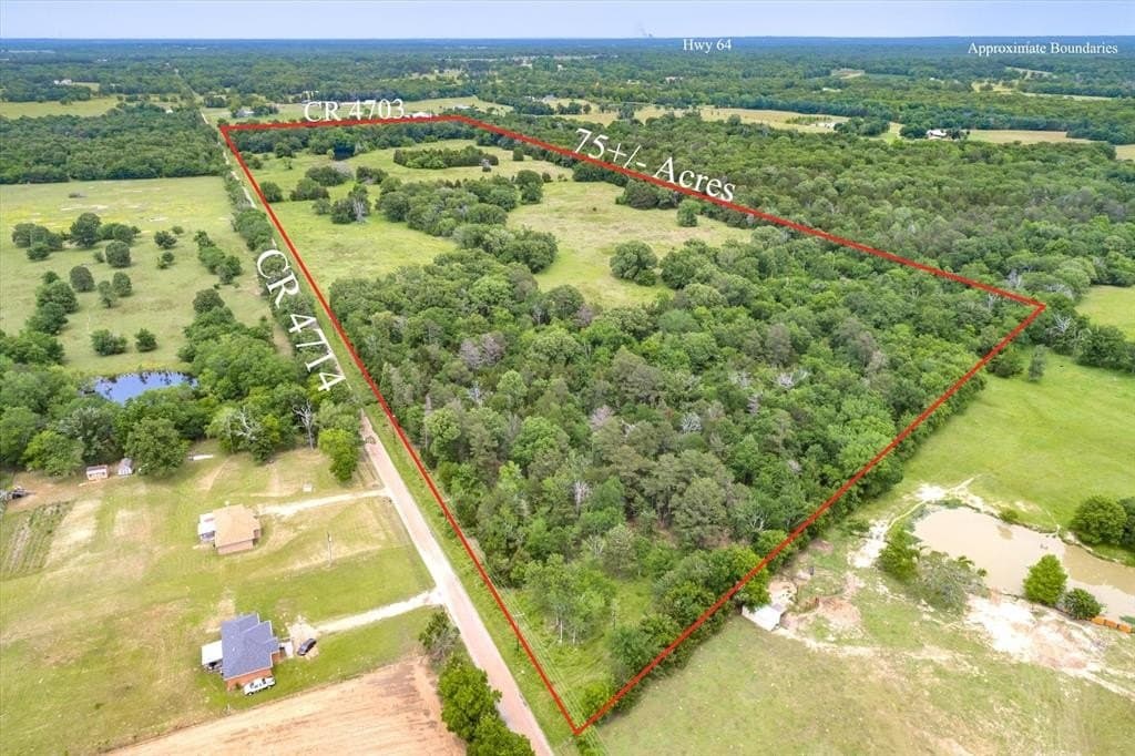 10.1 acres in Van Zandt County gallery image 4