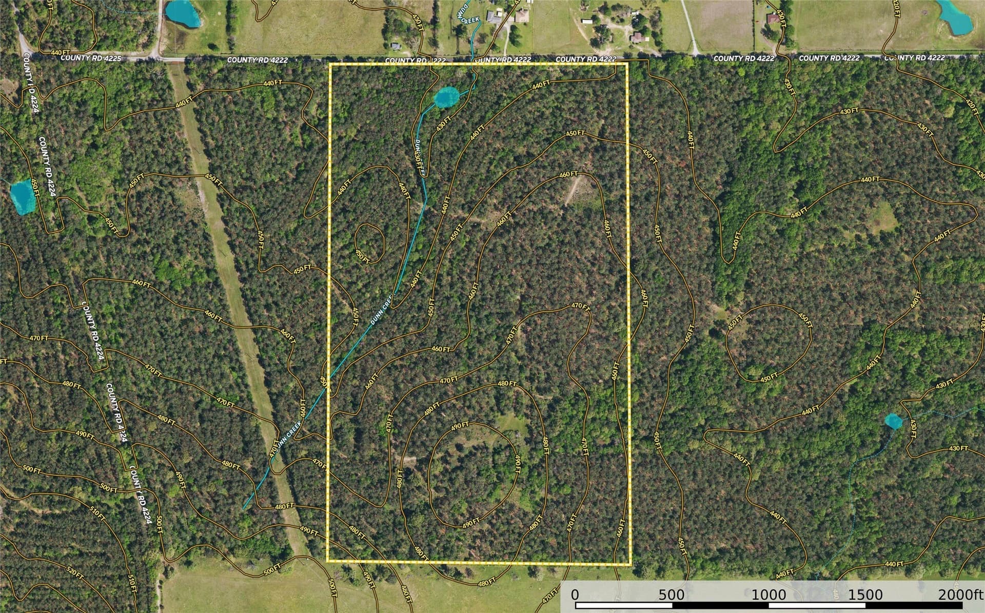 92 acres in Henderson County - photo 25