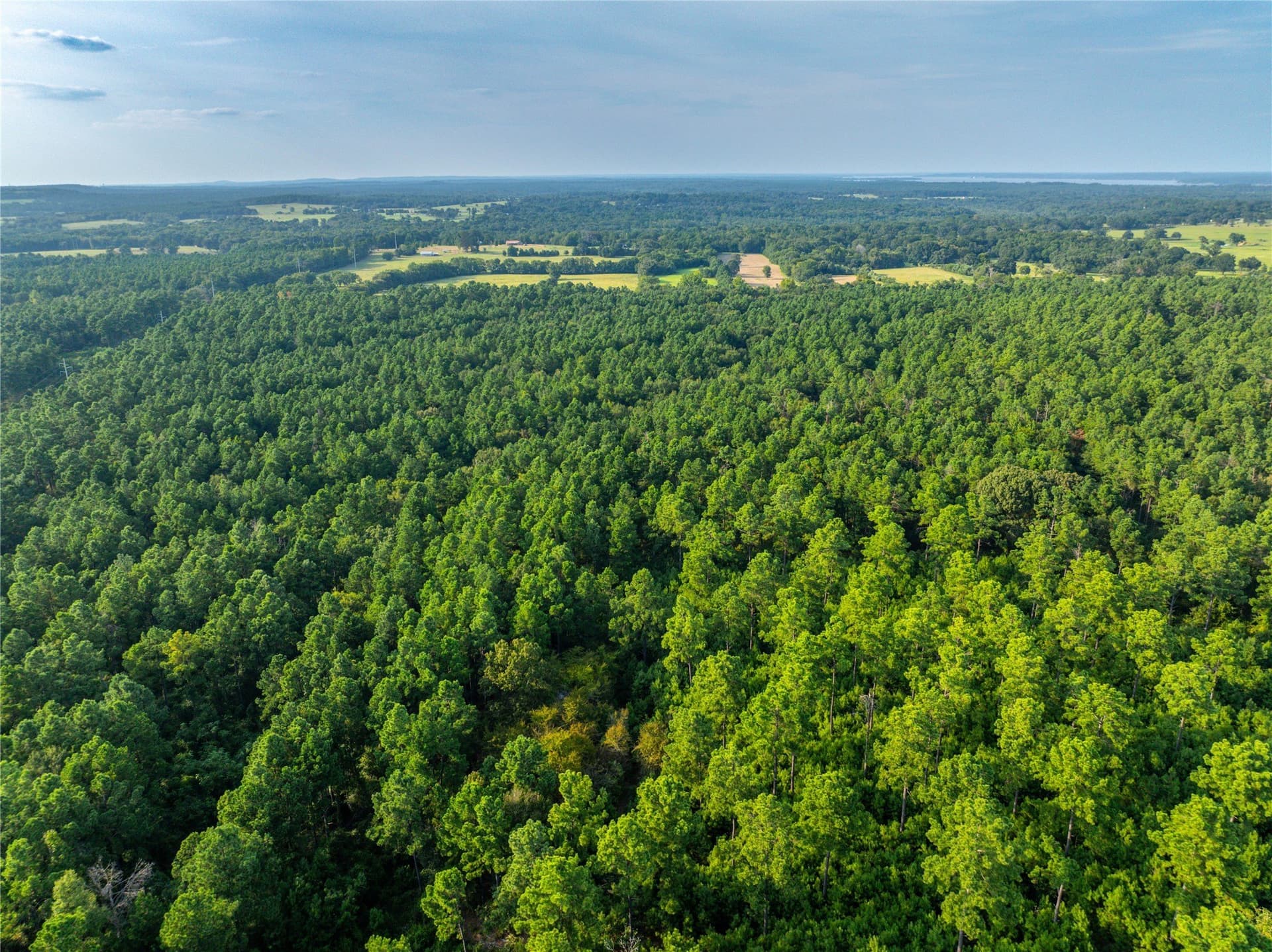 92 acres in Henderson County - photo 22