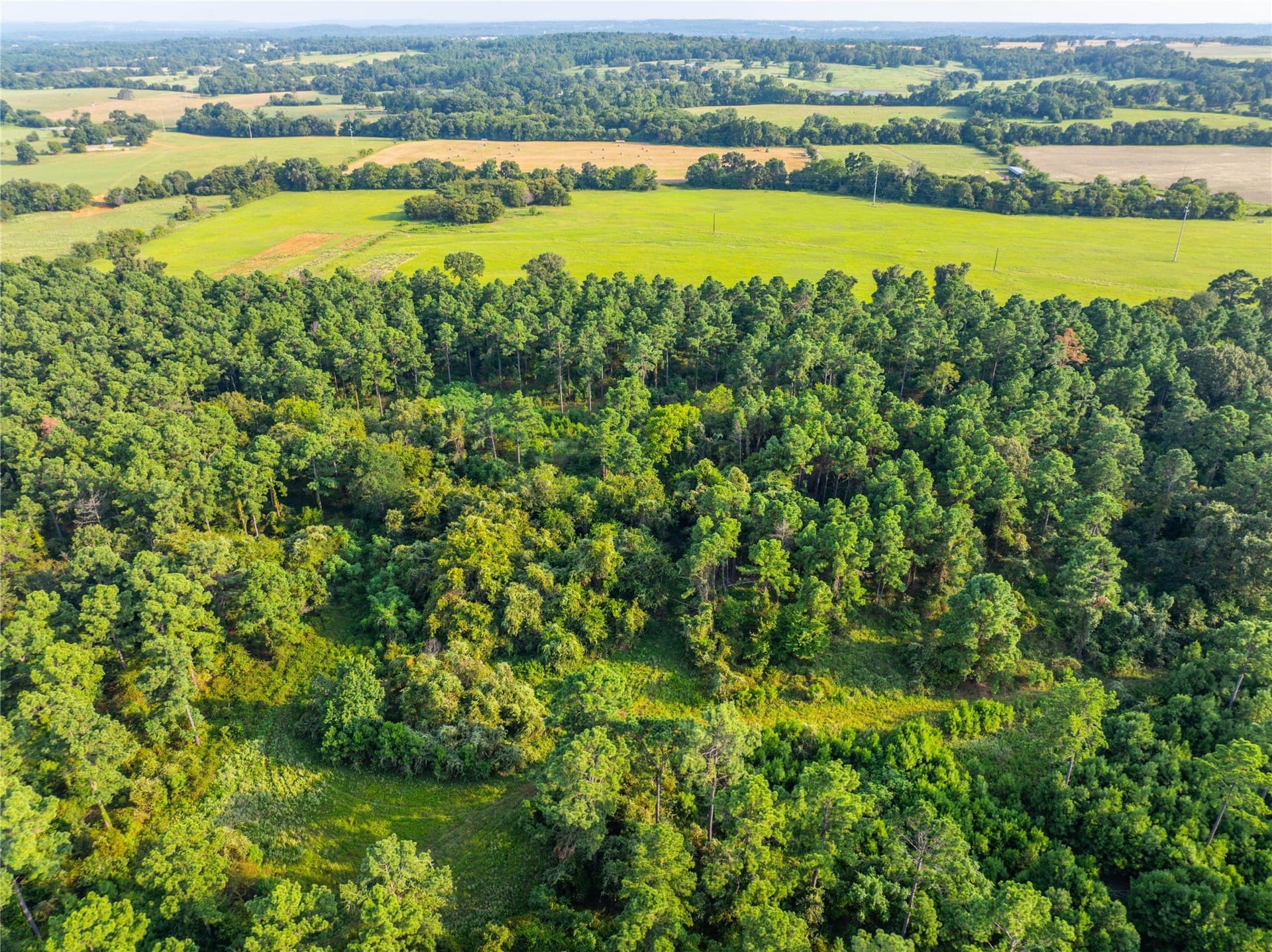 92 acres in Henderson County - photo 19