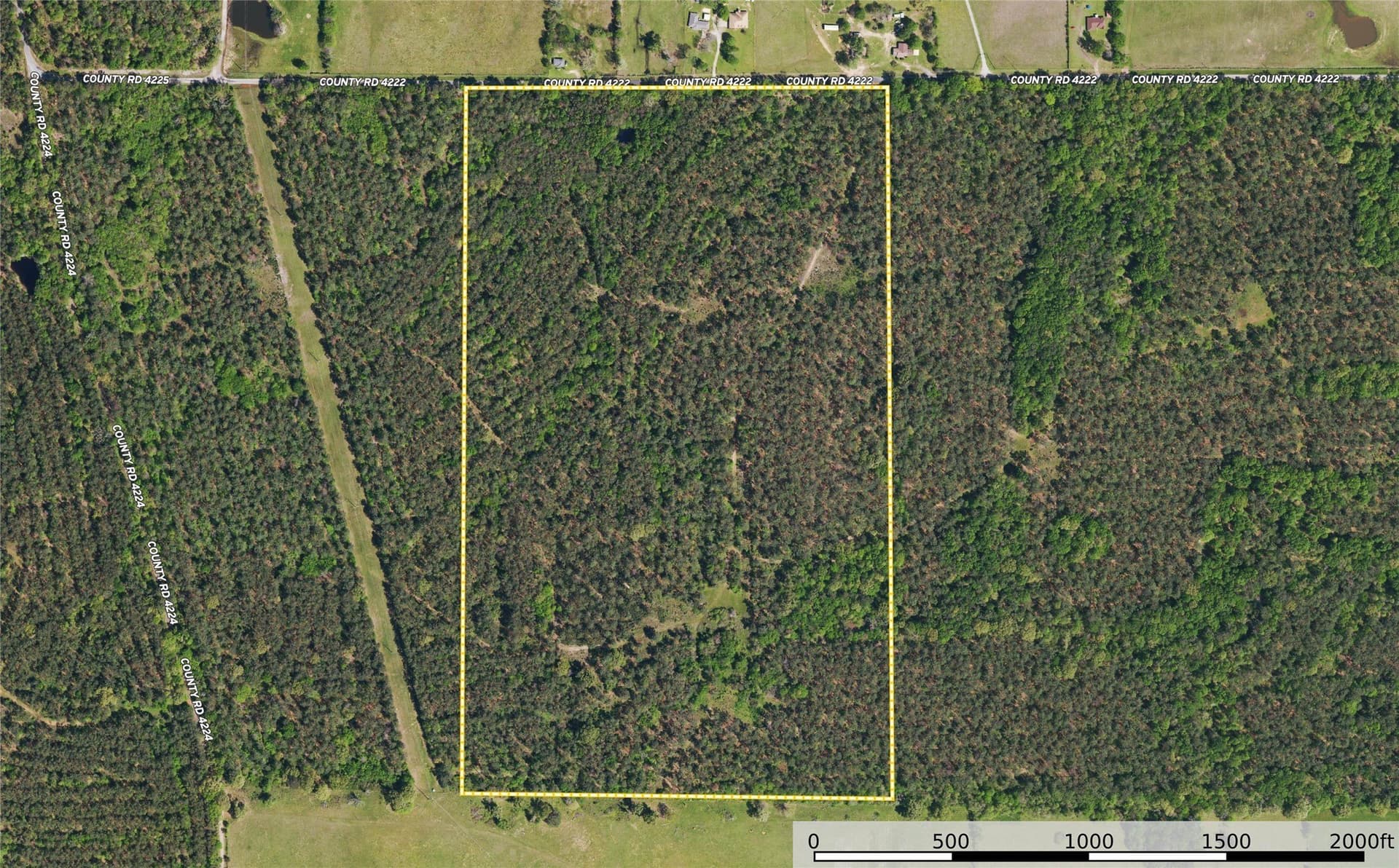 92 acres in Henderson County - photo 24