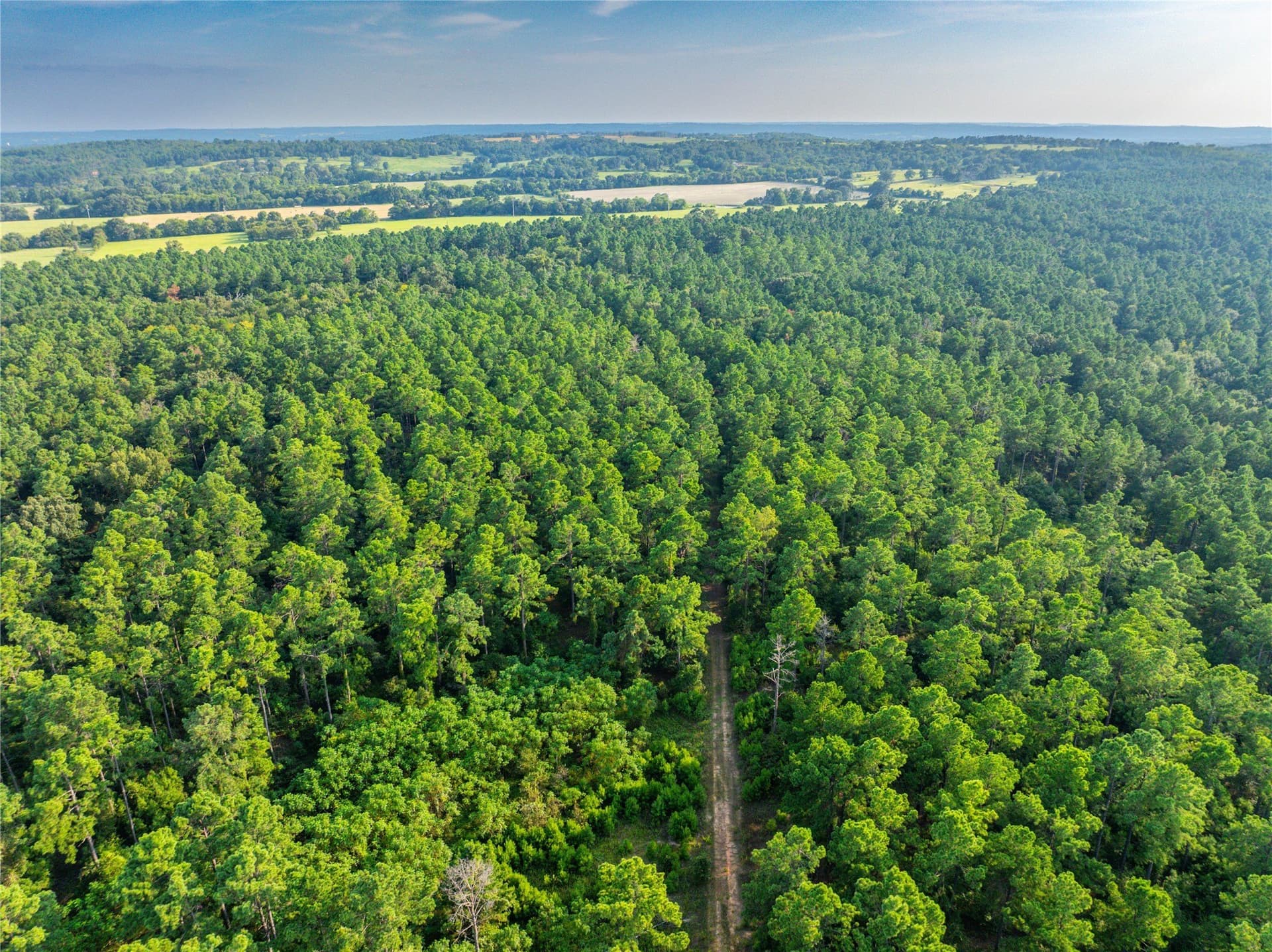 92 acres in Henderson County - photo 18