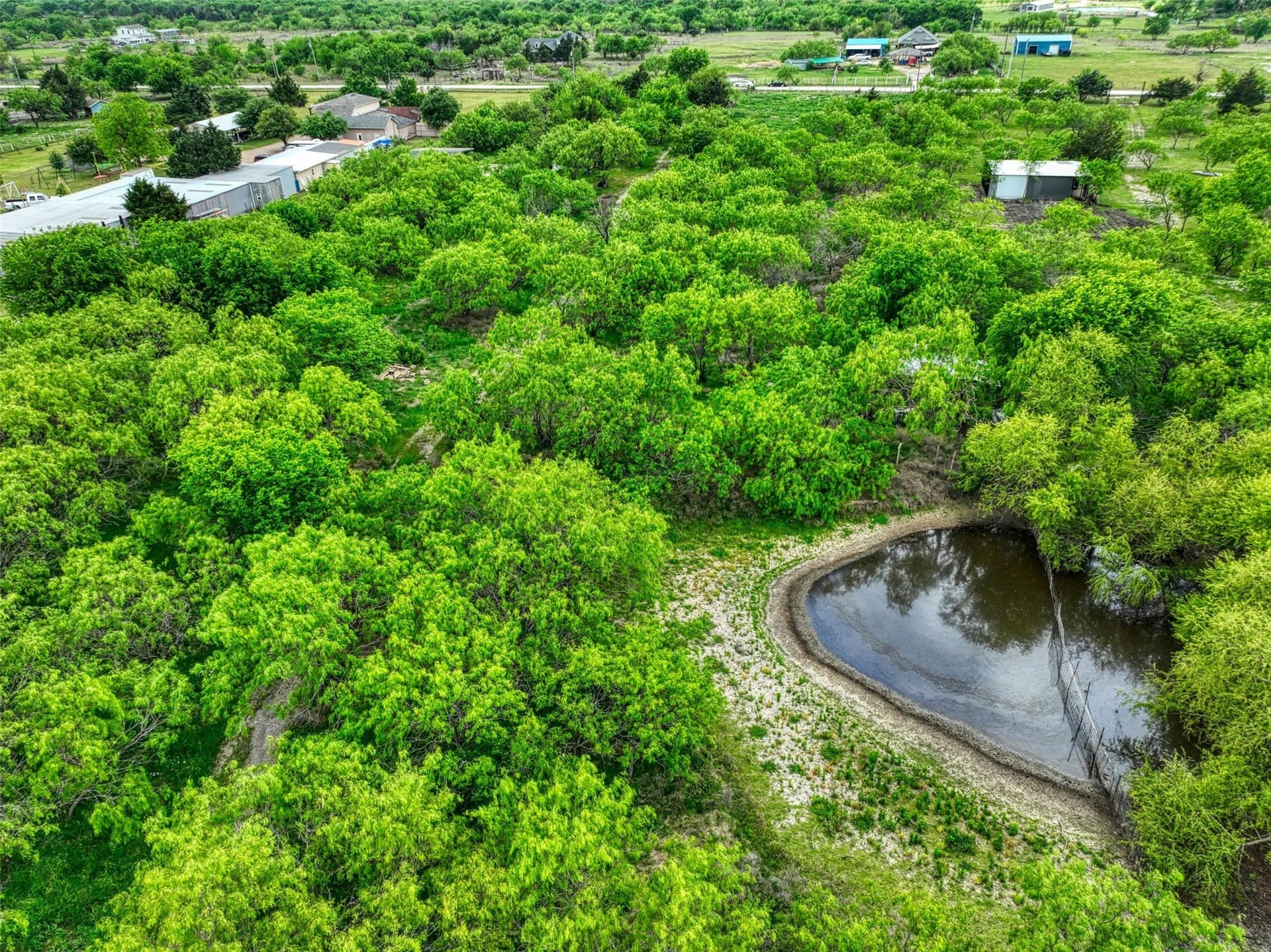 5 acres in Navarro County gallery image 4