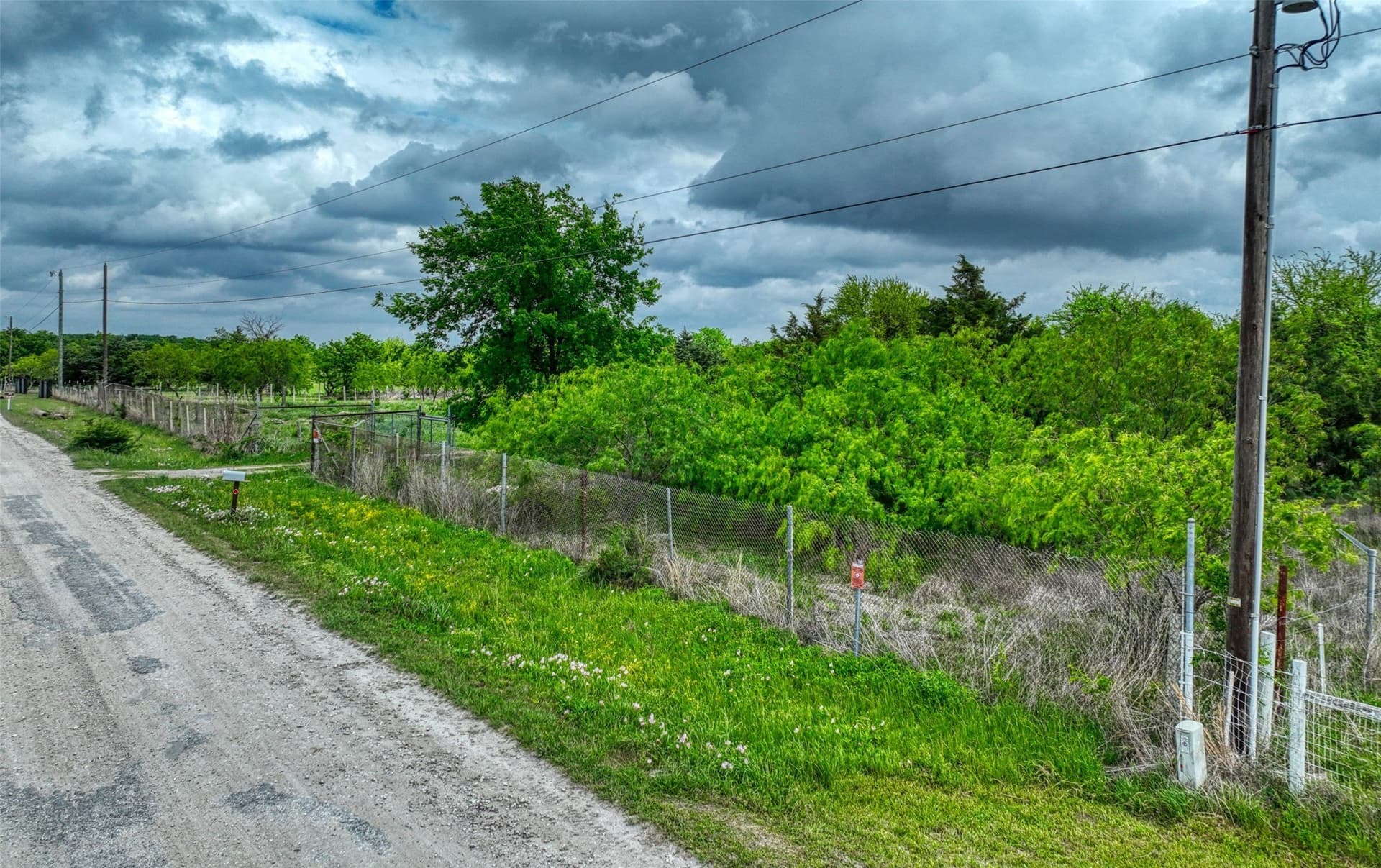 5 acres in Navarro County gallery image 3