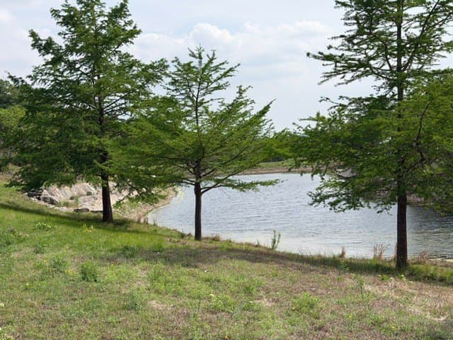 151.45 acres in Kerr County - photo 13