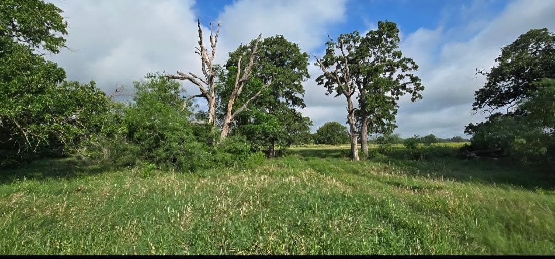 10.1 acres in Robertson County - photo 7