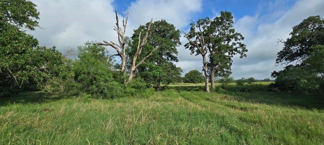 10.1 acres in Robertson County - photo 8