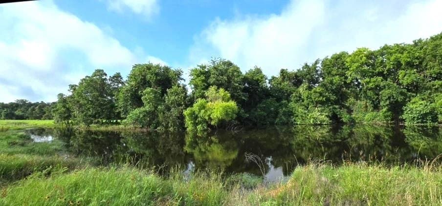 10.1 acres in Robertson County