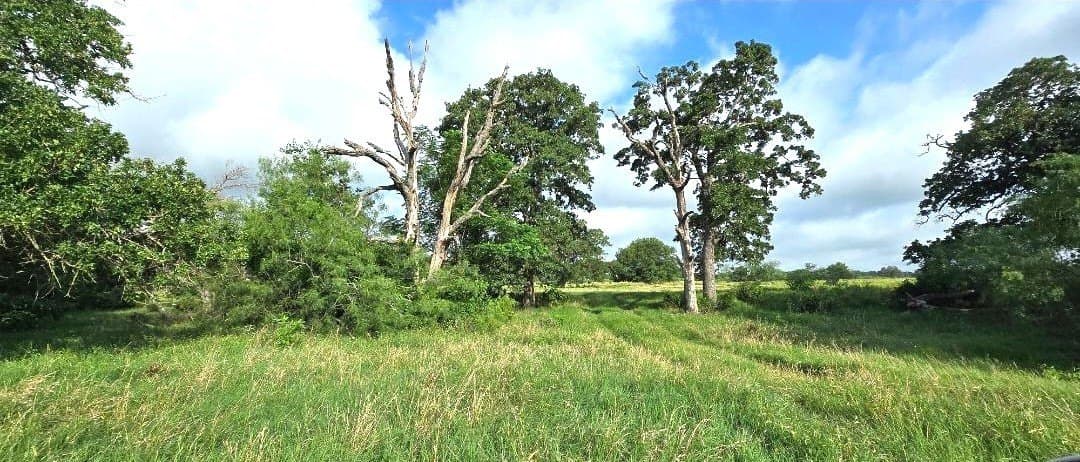 10.1 acres in Robertson County - photo 6
