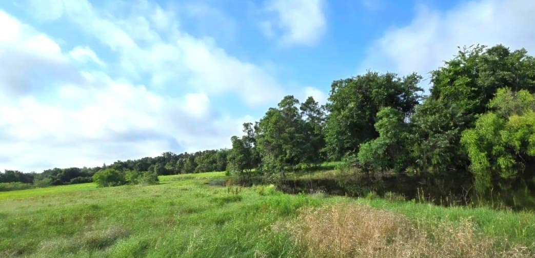 10.1 acres in Robertson County - photo 4