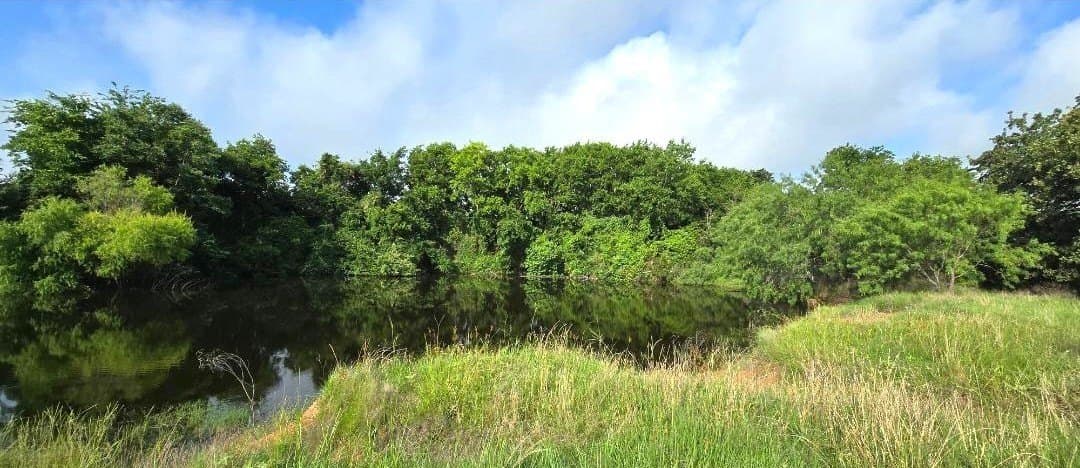 10.1 acres in Robertson County - photo 5