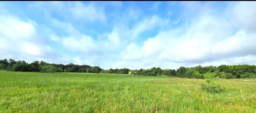 10.1 acres in Robertson County - photo 3