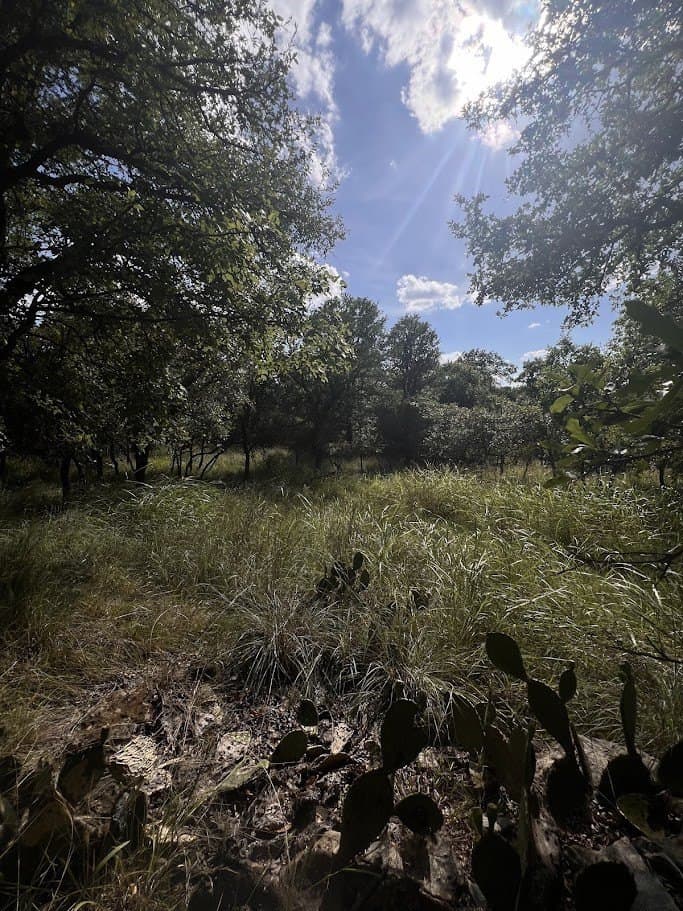 3.38 acres in Brown County - photo 4