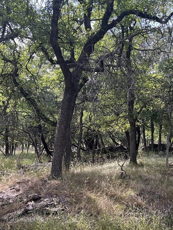 3.38 acres in Brown County - photo 14