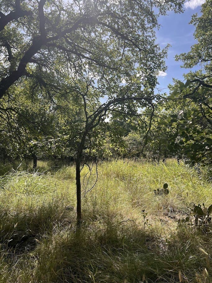 3.38 acres in Brown County - photo 8