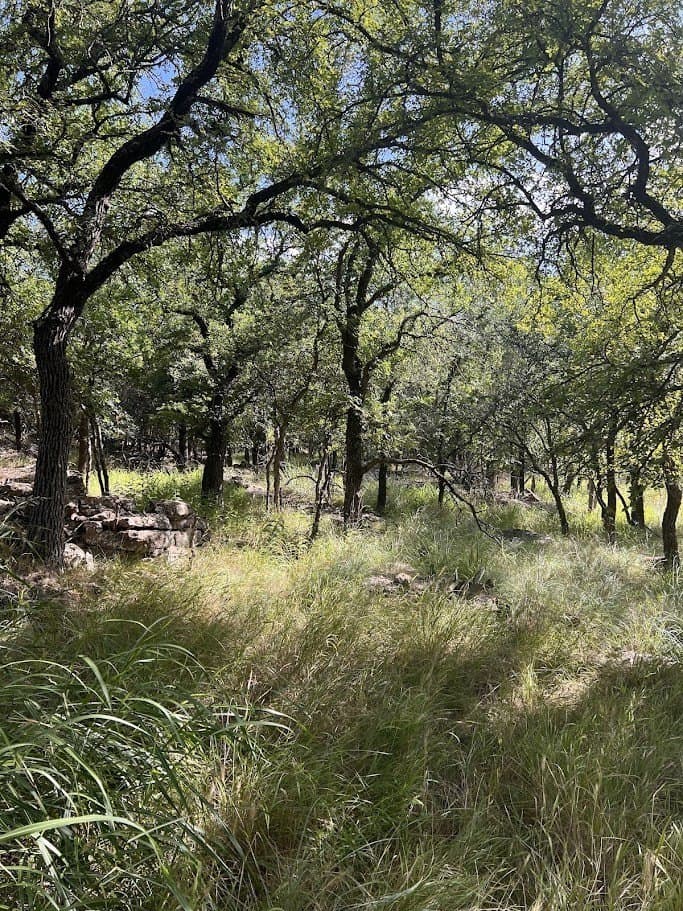 3.38 acres in Brown County - photo 6
