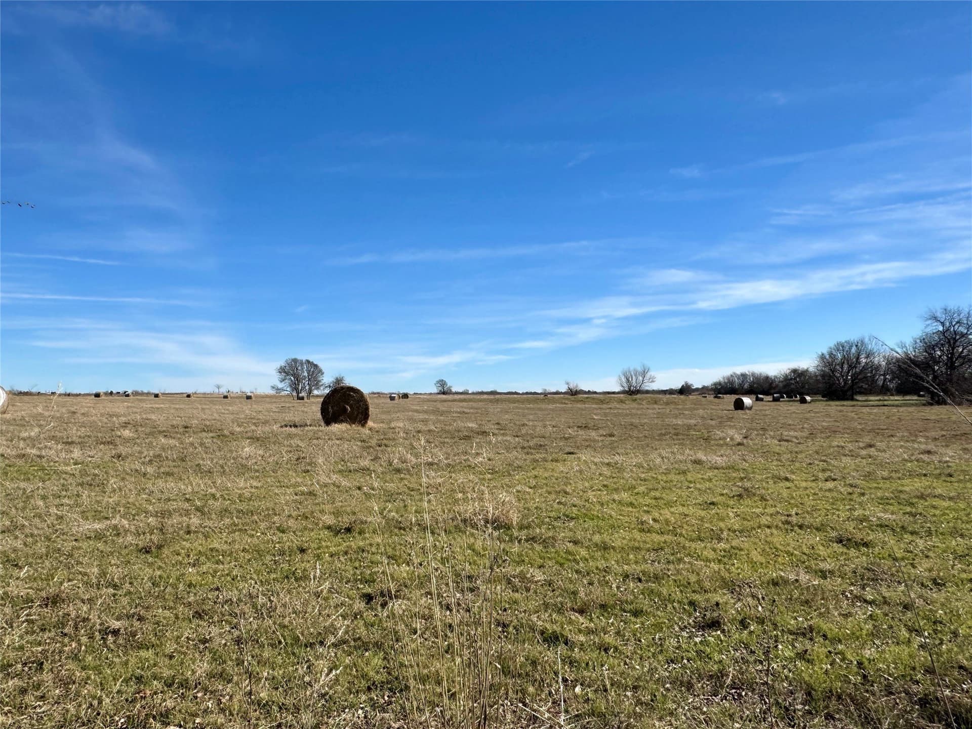 1.75 acres in Hunt County - photo 9