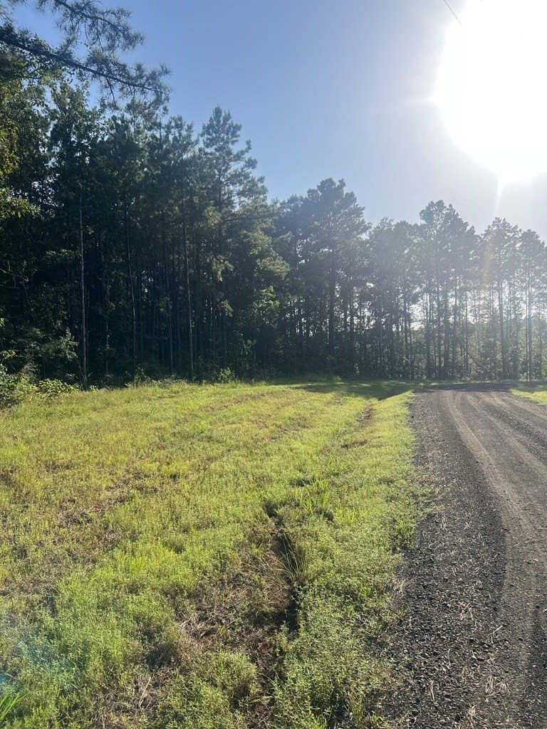 5.05 acres in Texas County gallery image 4