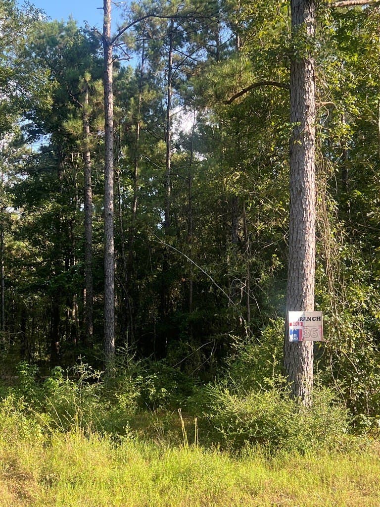 5.05 acres in Texas County featured view