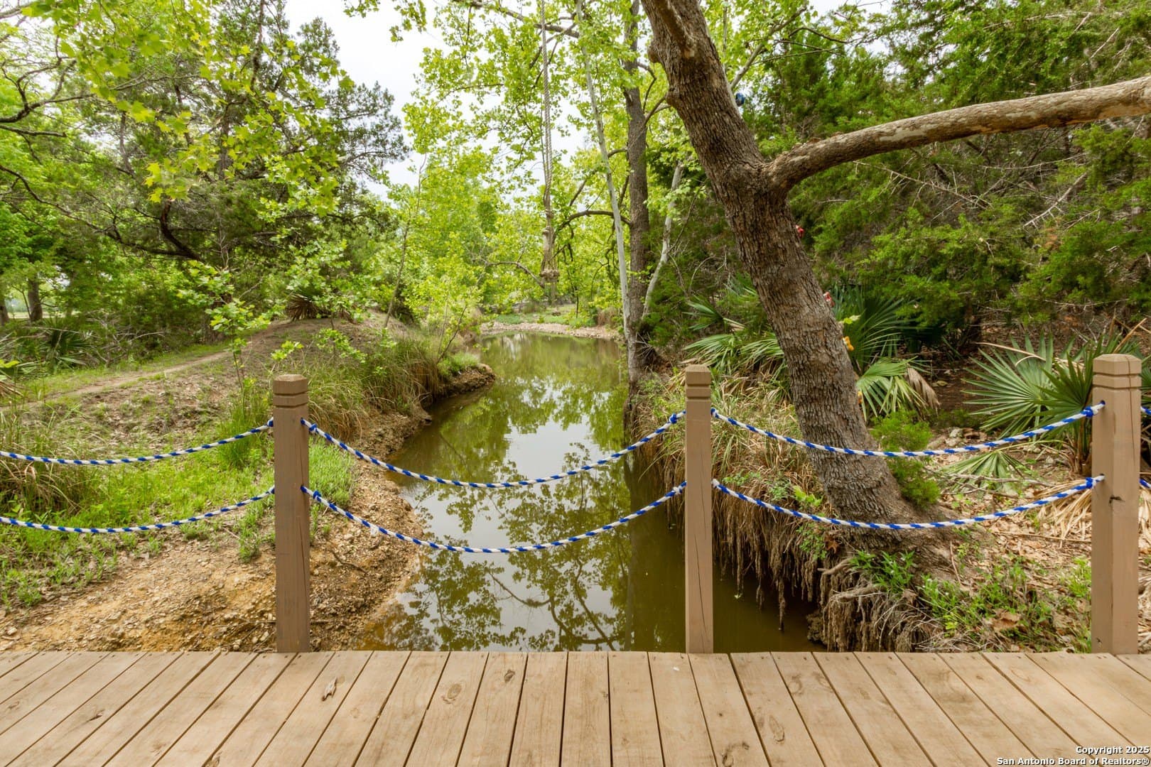 1.84 acres in Comal County - photo 9