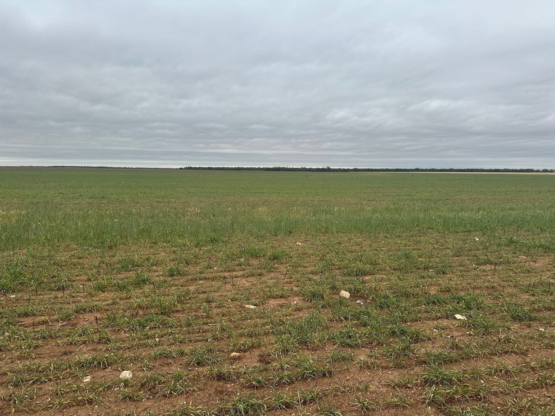 12 acres in Jones County featured view