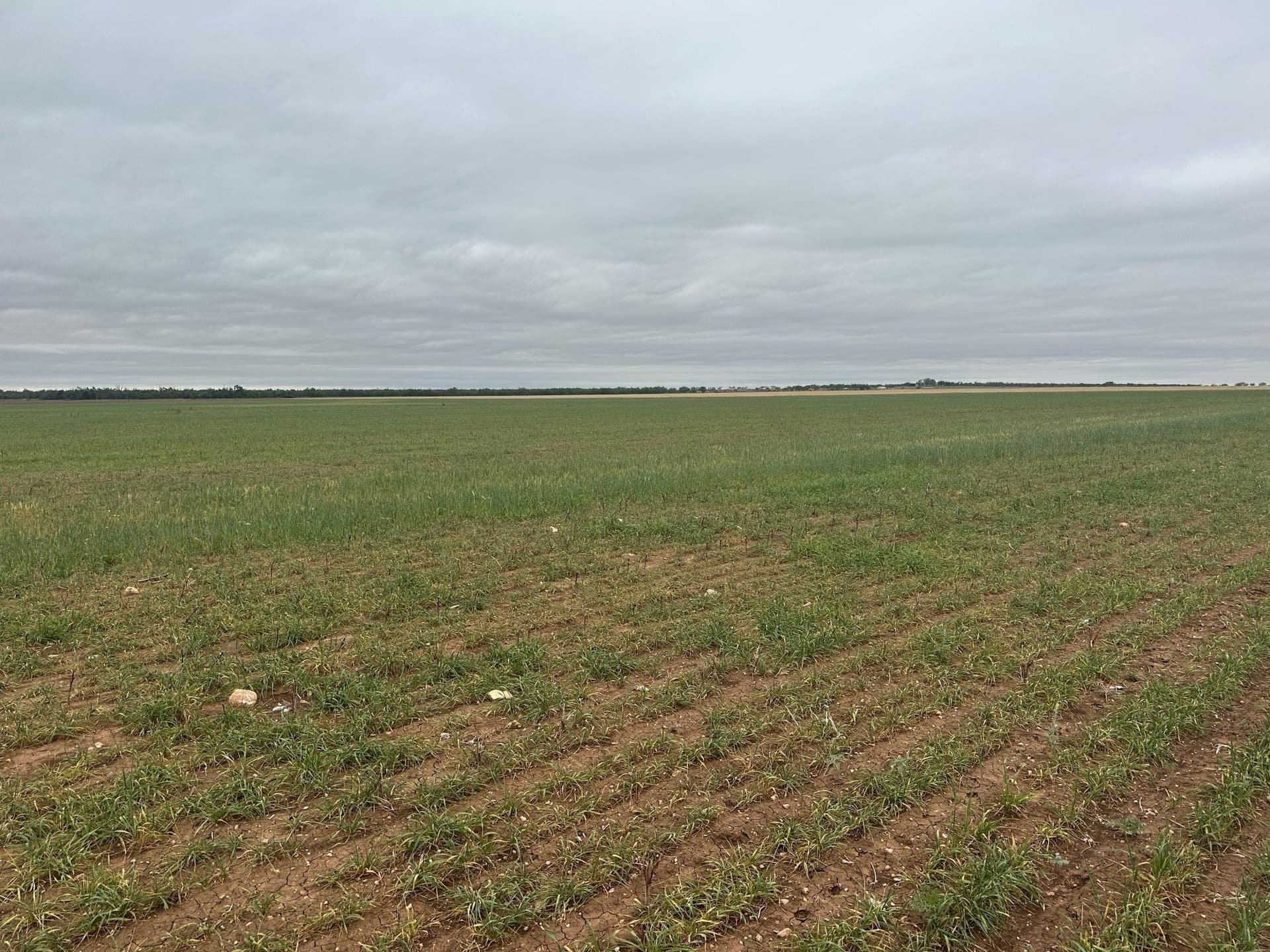 12 acres in Jones County gallery image 4