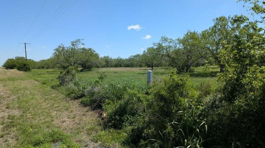 5.77 acres in Jim Wells County gallery image 2