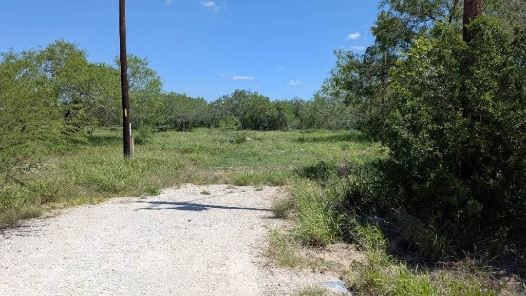 5.77 acres in Jim Wells County gallery image 4