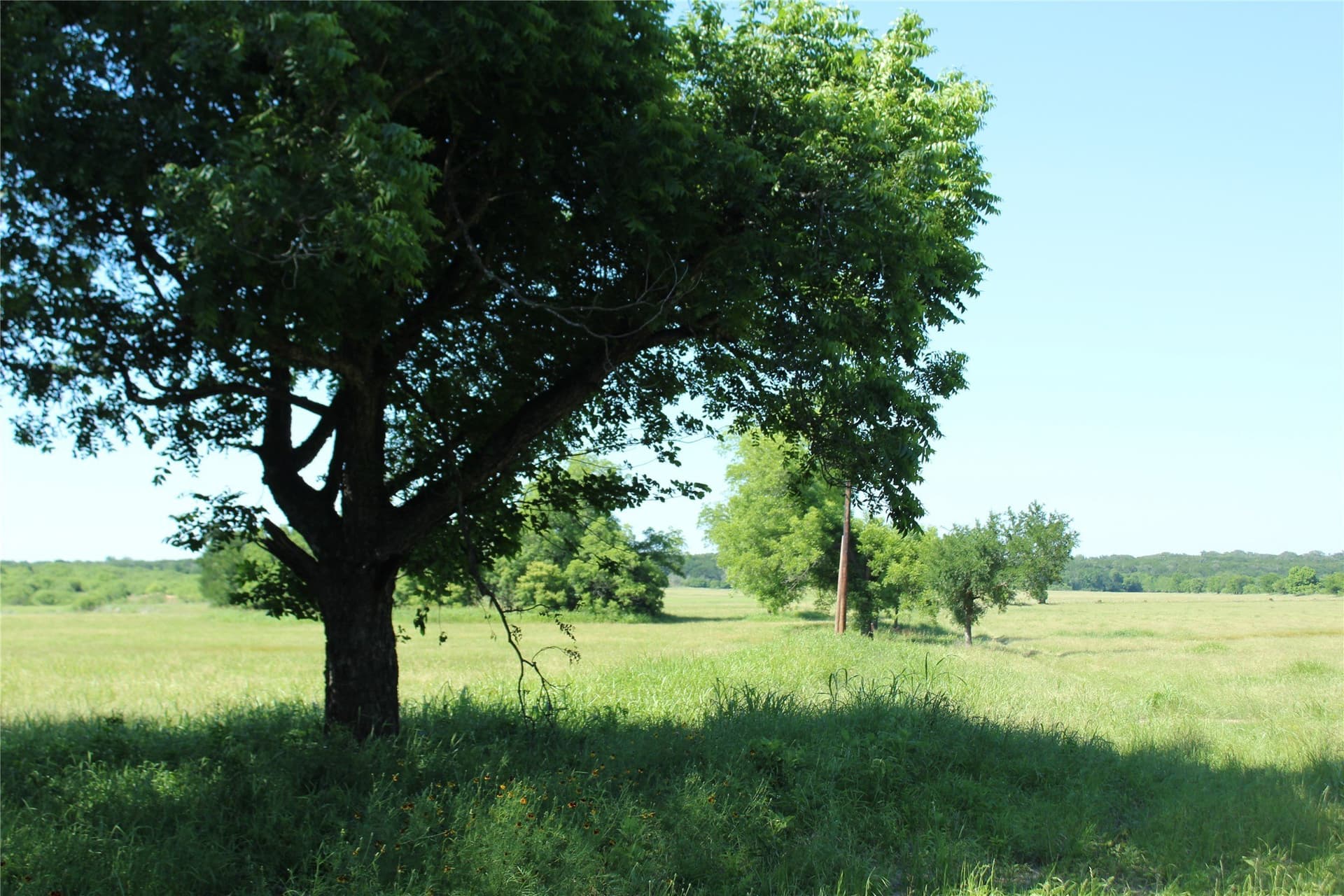 94.8 acres in Coryell County - photo 11