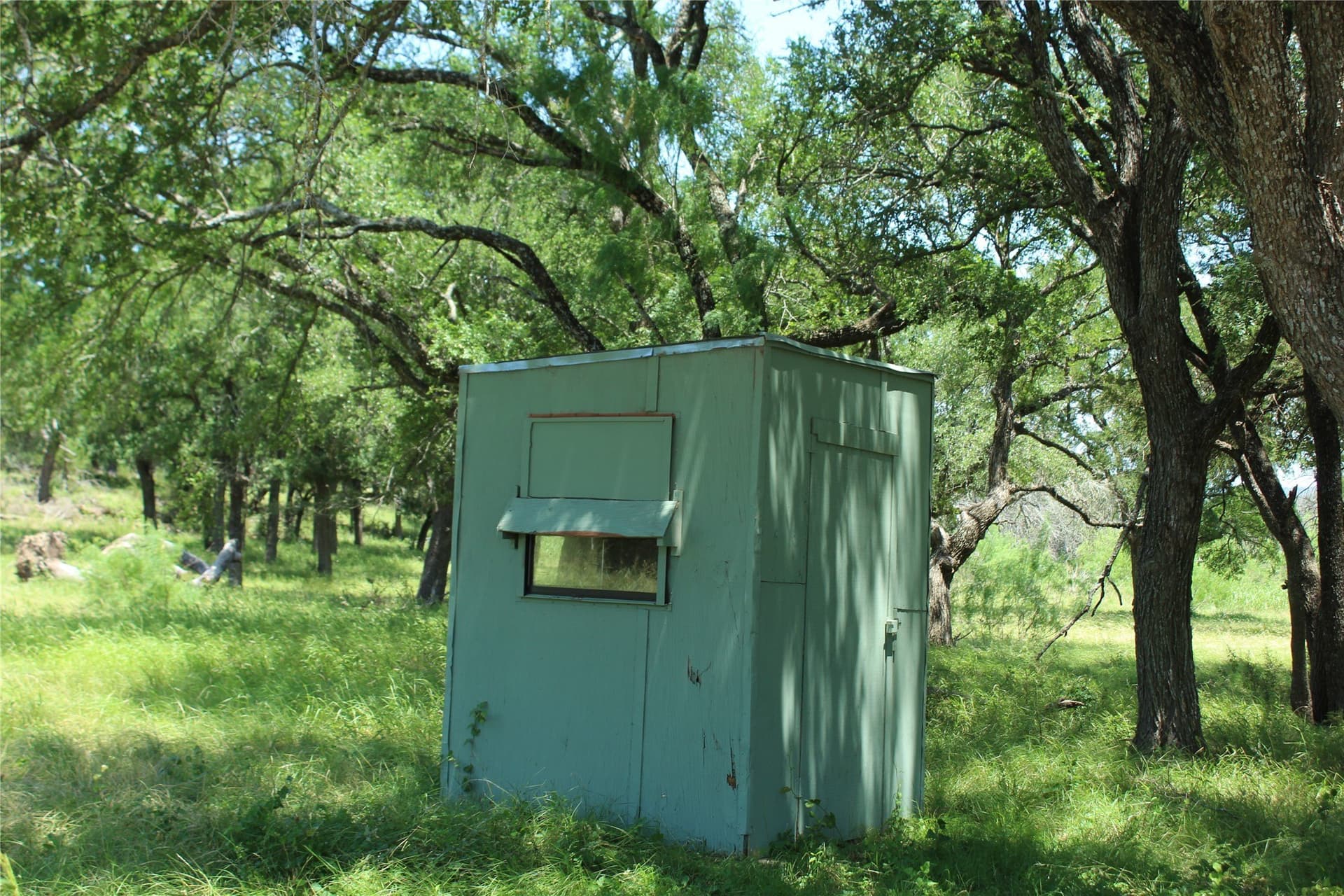 94.8 acres in Coryell County - photo 8
