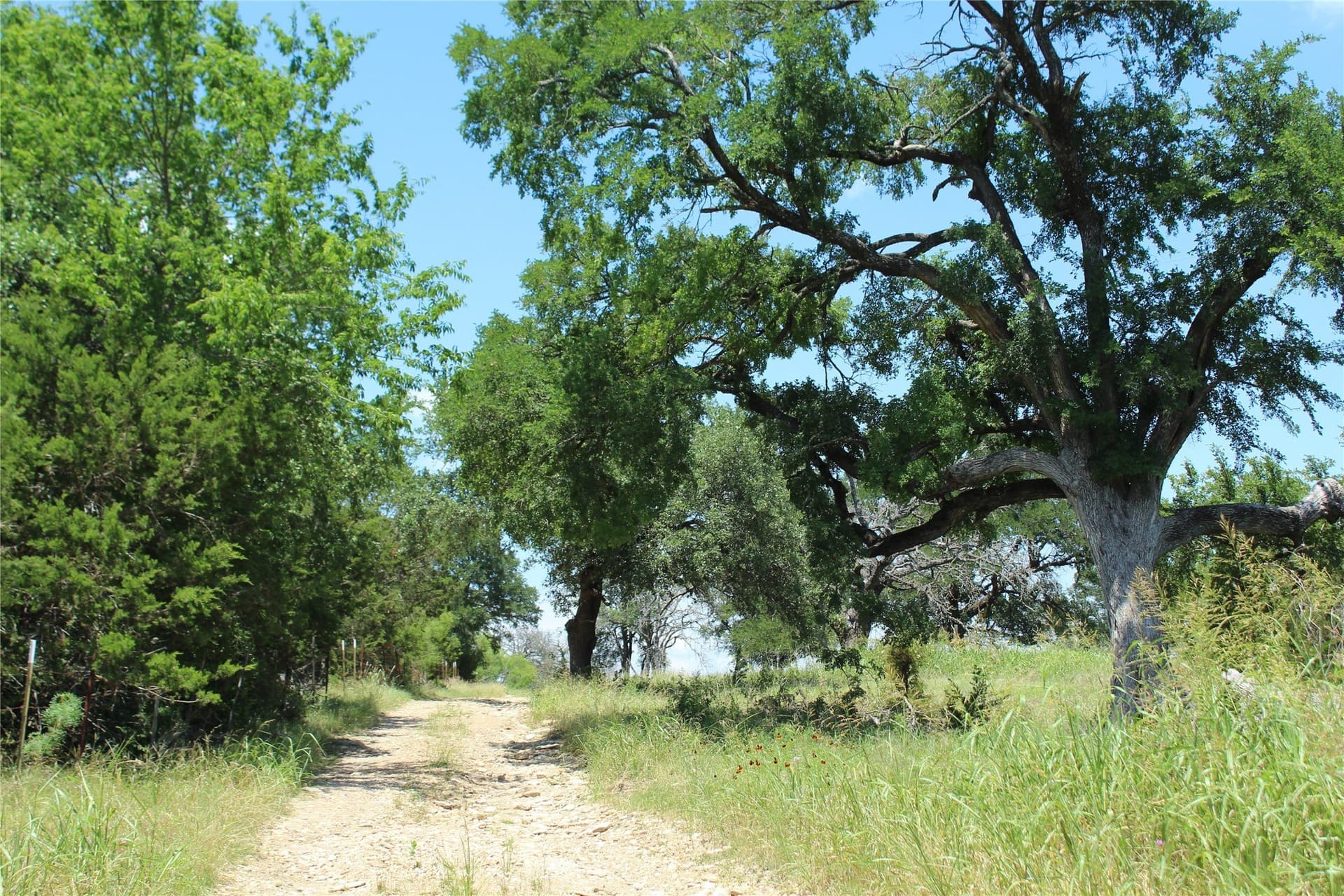 94.8 acres in Coryell County - photo 9