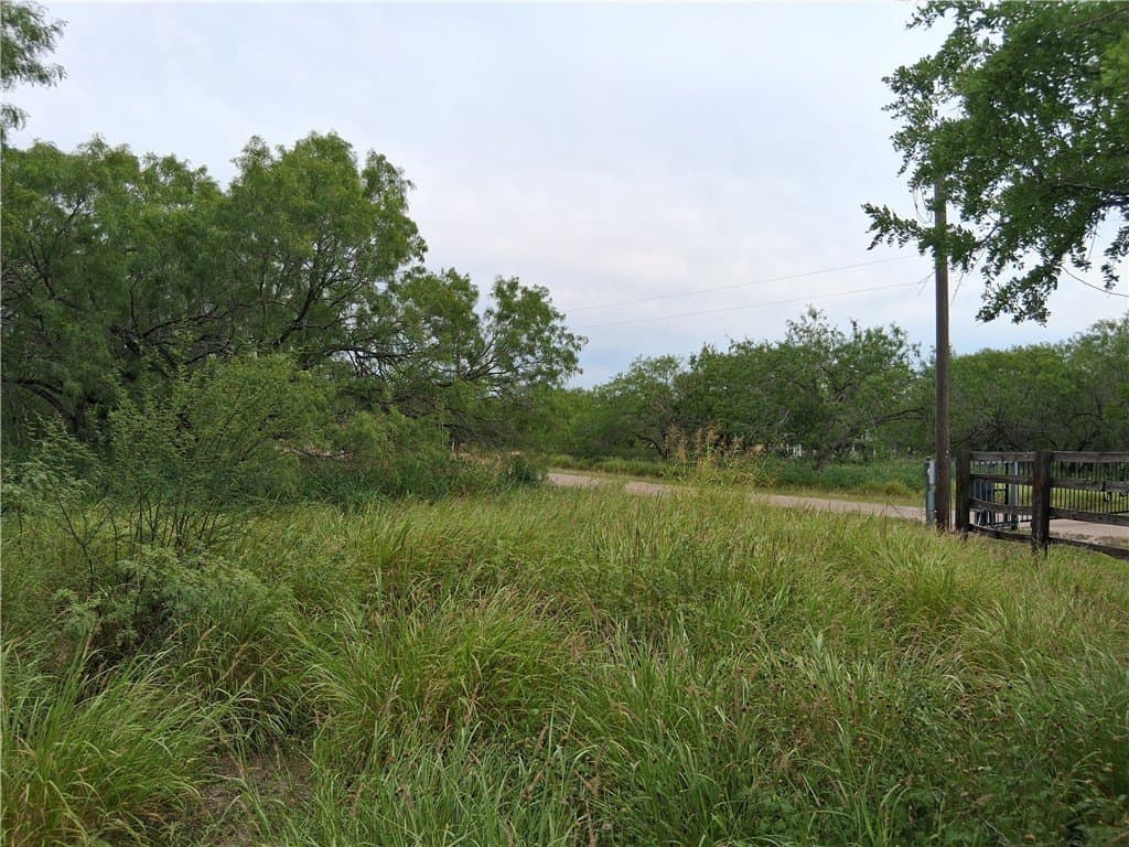 2.5 acres in Live Oak County - photo 6