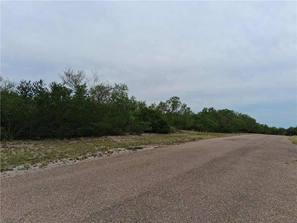 2.5 acres in Live Oak County - photo 12