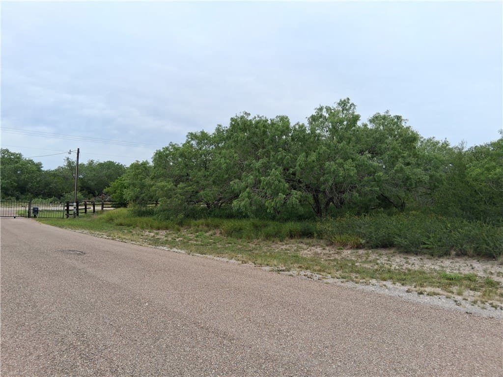 2.5 acres in Live Oak County - photo 9