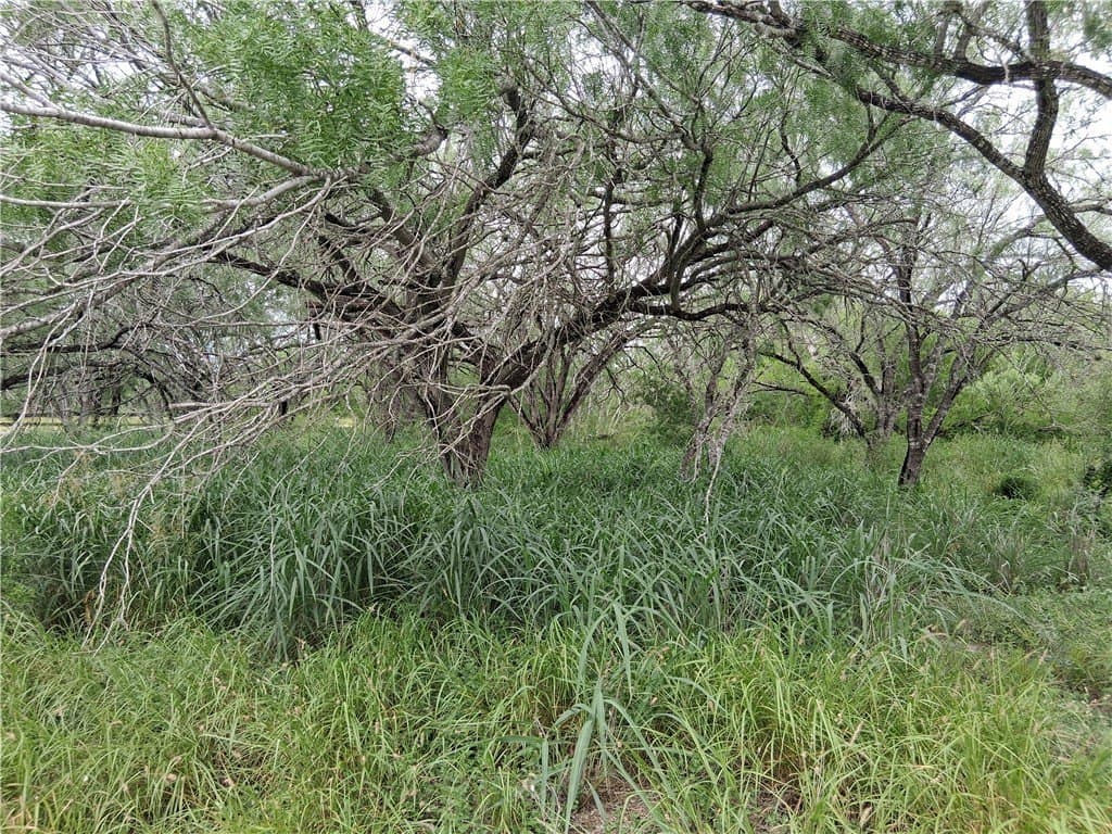 2.5 acres in Live Oak County