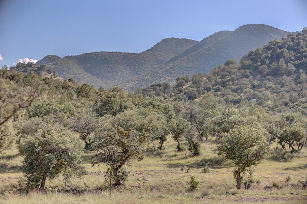 14.93 acres in Jeff Davis County - photo 44