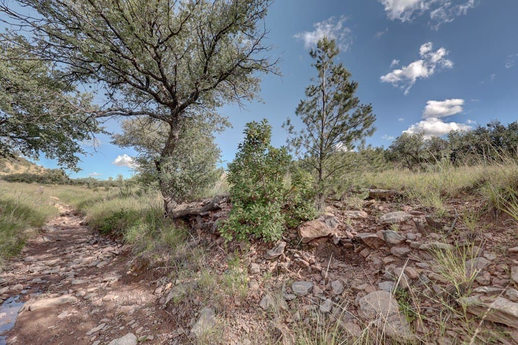 14.93 acres in Jeff Davis County - photo 42