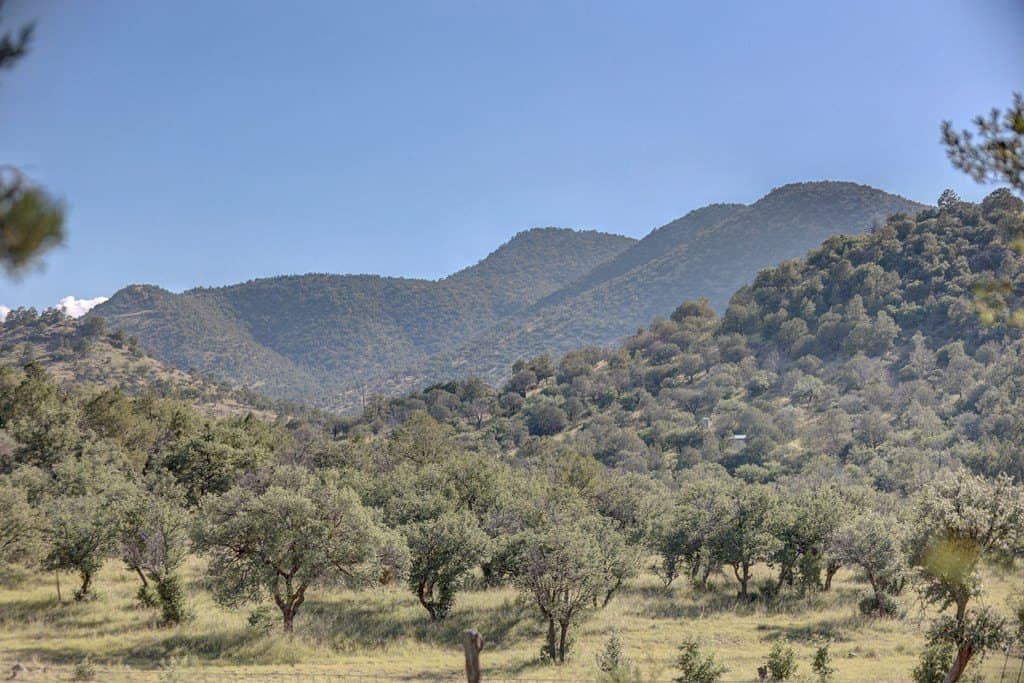 14.93 acres in Jeff Davis County - photo 30