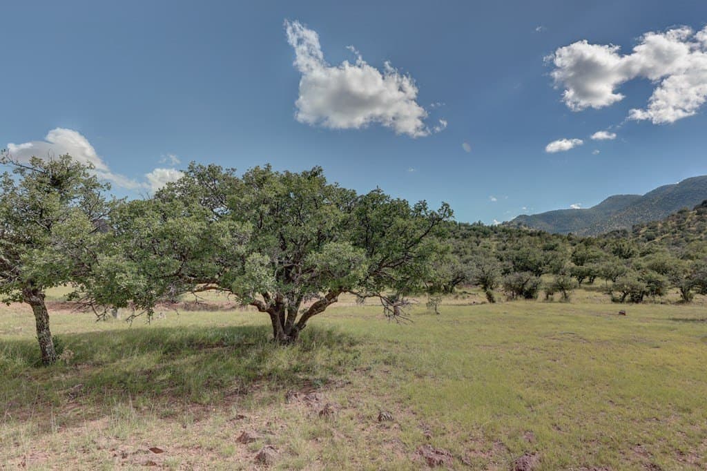 14.93 acres in Jeff Davis County - photo 6
