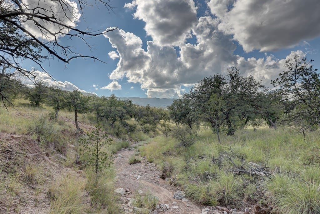 14.93 acres in Jeff Davis County - photo 31