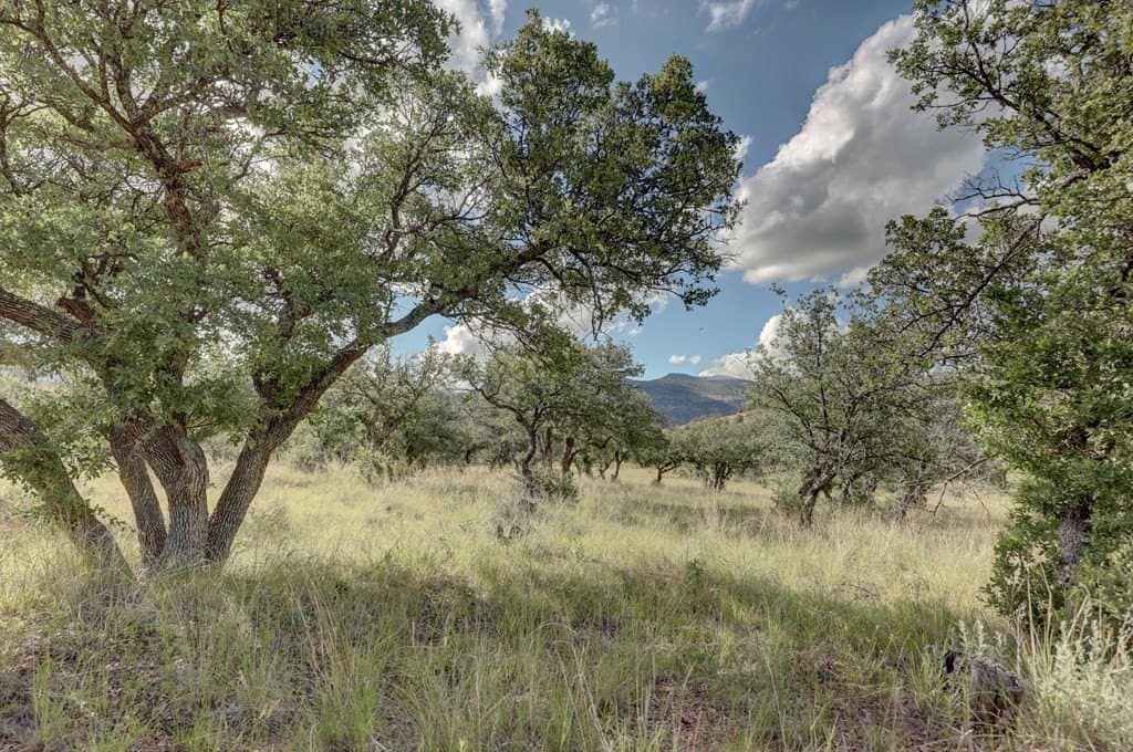 14.93 acres in Jeff Davis County - photo 40