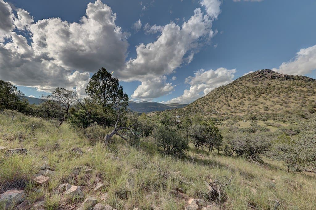 14.93 acres in Jeff Davis County - photo 28