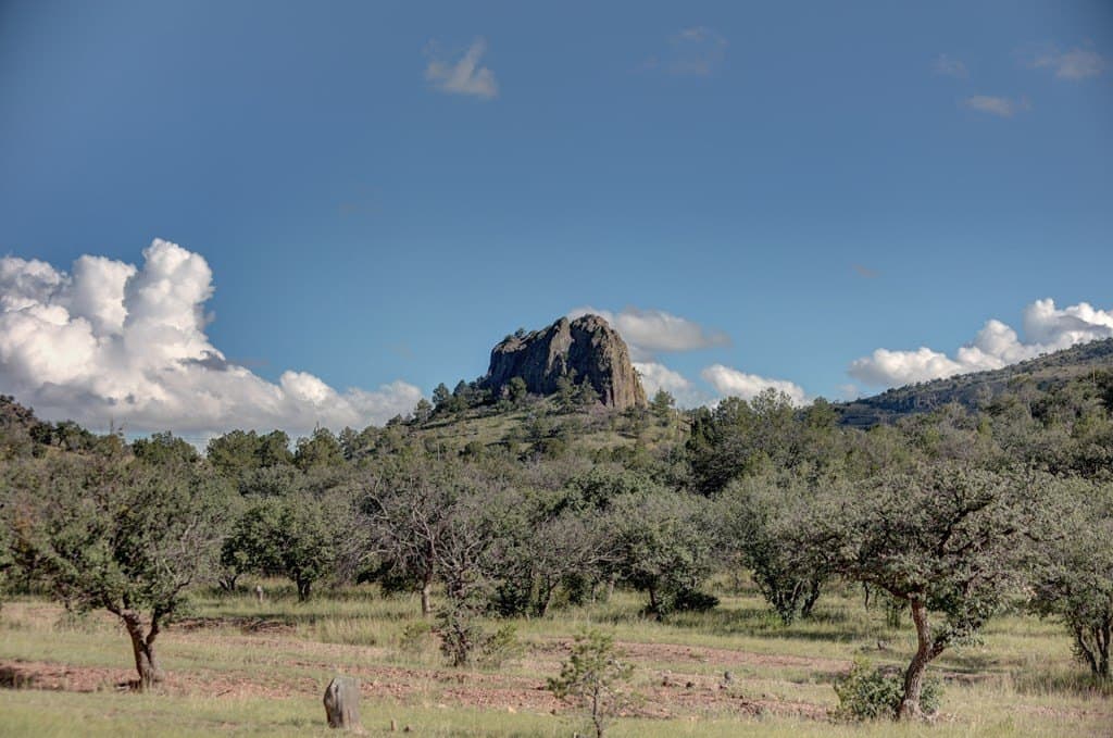 14.93 acres in Jeff Davis County - photo 33
