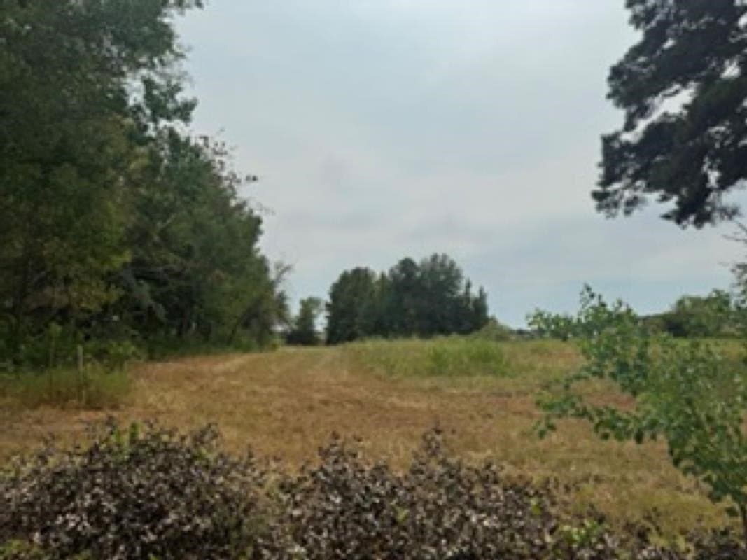 1.35 acres in Texas County - photo 2